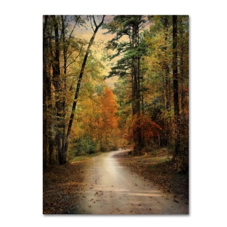 Jai Johnson 'Autumn Forest 4' Canvas Art,14x19